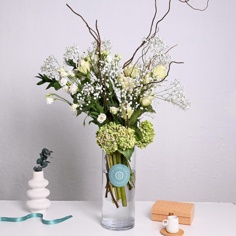 Бела Хармонија (L)